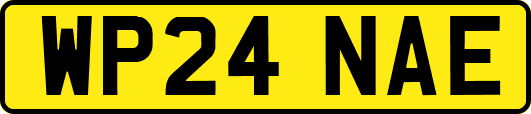 WP24NAE