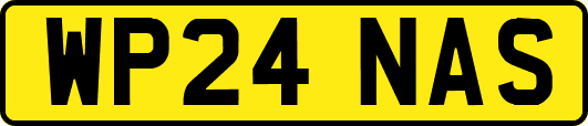 WP24NAS