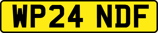 WP24NDF