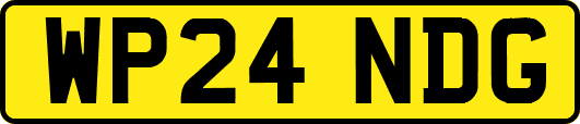 WP24NDG