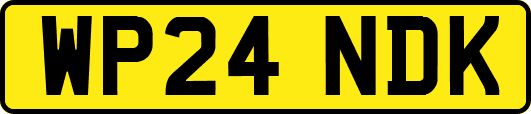 WP24NDK