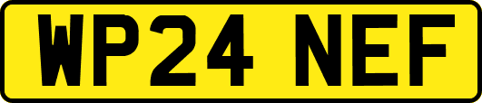 WP24NEF