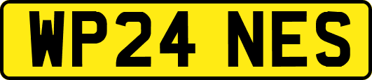 WP24NES