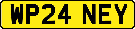 WP24NEY