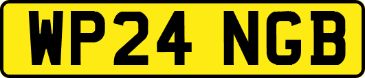 WP24NGB