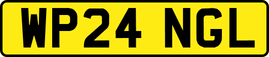 WP24NGL