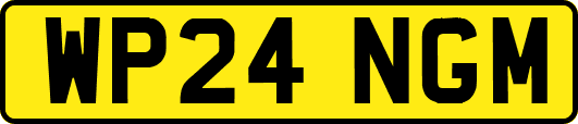 WP24NGM