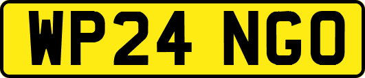 WP24NGO