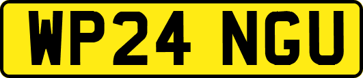 WP24NGU