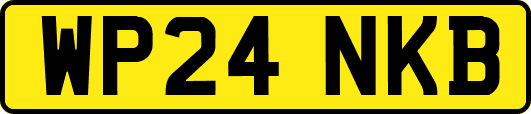 WP24NKB