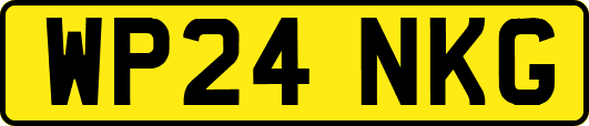 WP24NKG