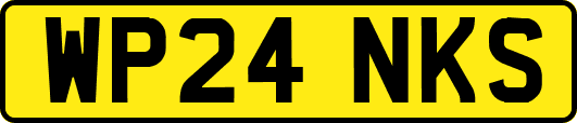WP24NKS