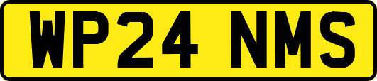 WP24NMS