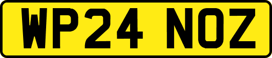 WP24NOZ