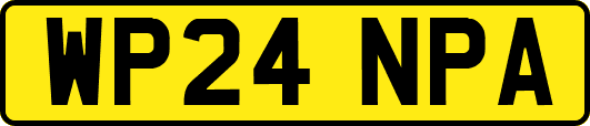 WP24NPA