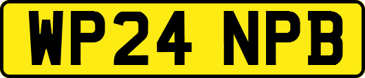 WP24NPB
