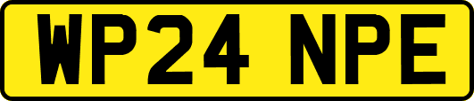 WP24NPE