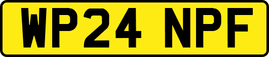 WP24NPF