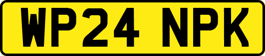 WP24NPK