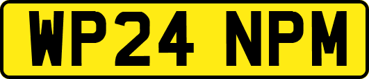 WP24NPM