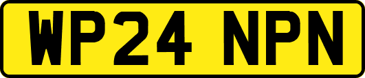 WP24NPN