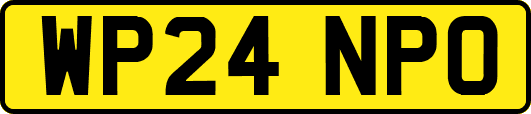 WP24NPO