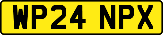 WP24NPX