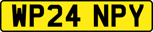 WP24NPY