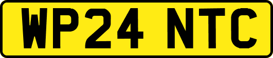 WP24NTC
