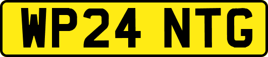WP24NTG