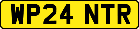 WP24NTR