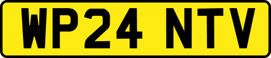 WP24NTV