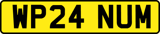 WP24NUM