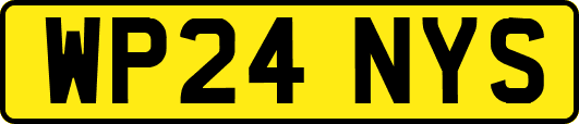 WP24NYS