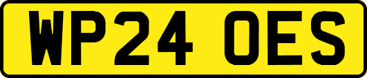 WP24OES