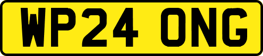 WP24ONG