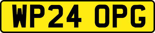 WP24OPG