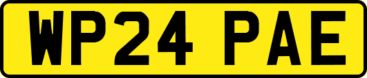 WP24PAE