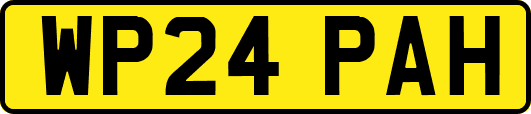 WP24PAH
