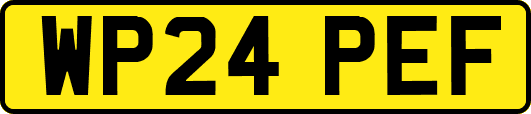 WP24PEF