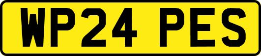 WP24PES