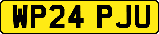 WP24PJU