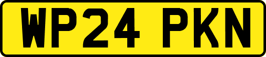 WP24PKN