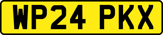 WP24PKX