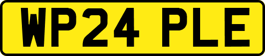 WP24PLE