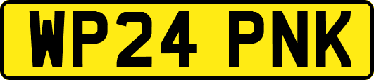 WP24PNK
