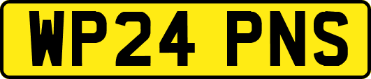WP24PNS