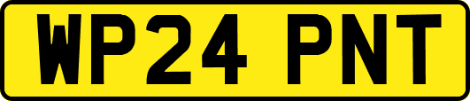 WP24PNT