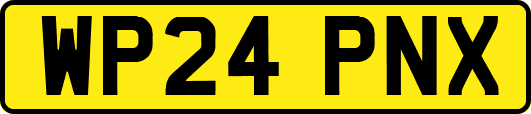 WP24PNX