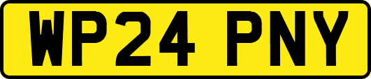 WP24PNY